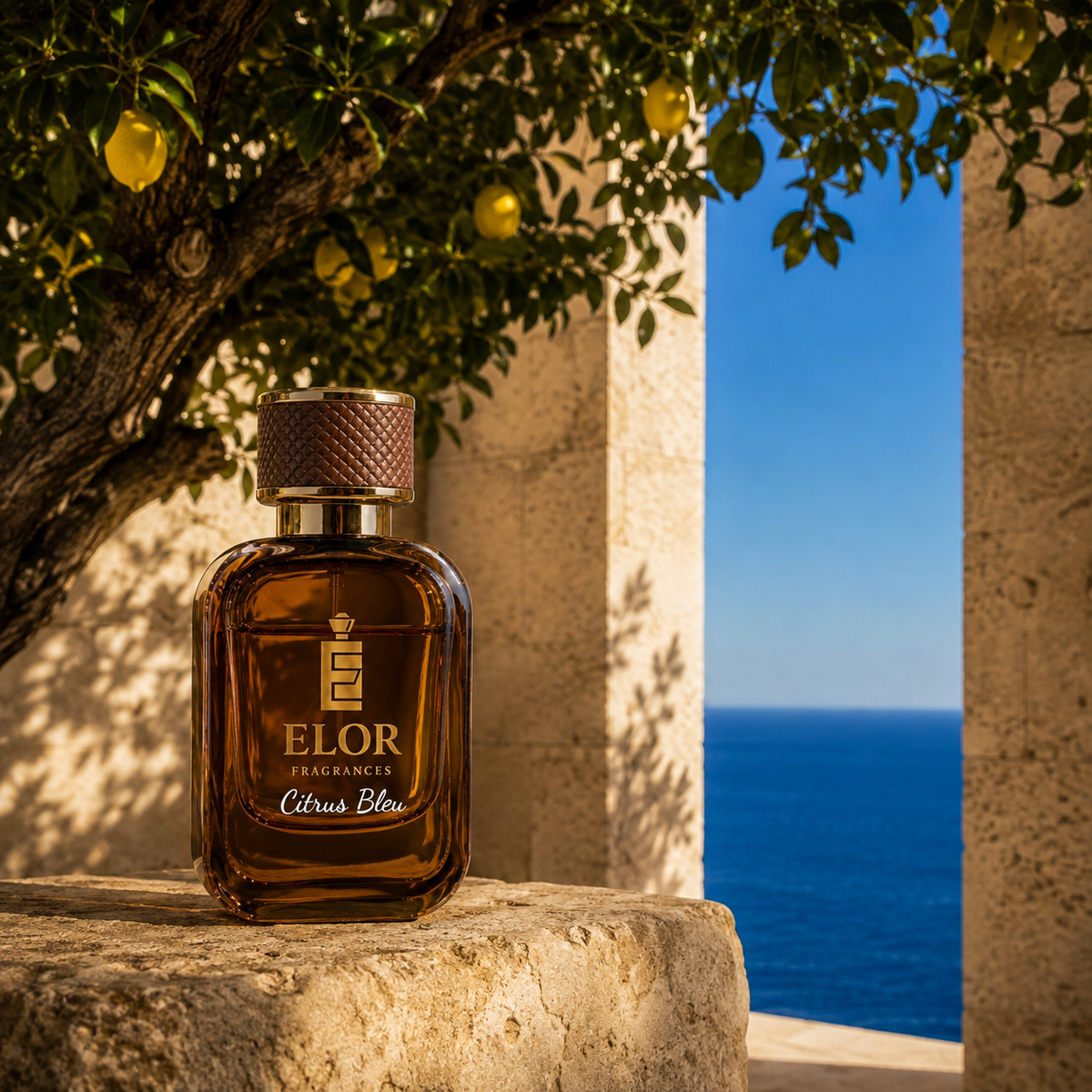 Citrus Bleu - Eau de Parfum - Elor Fragrances - Canada - Inspired by "Dolce & Gabbana Light Blue"