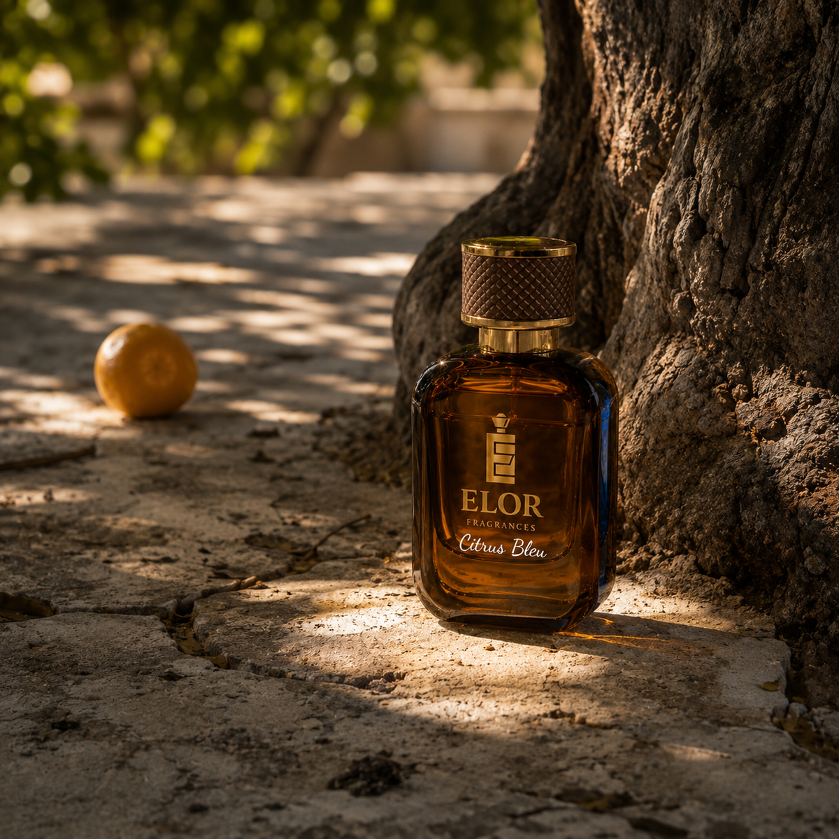 Citrus Bleu - Eau de Parfum - Elor Fragrances - Canada - Inspired by "Dolce & Gabbana Light Blue"