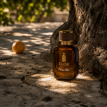 Citrus Bleu - Eau de Parfum - Elor Fragrances - Canada - Inspired by "Dolce & Gabbana Light Blue"
