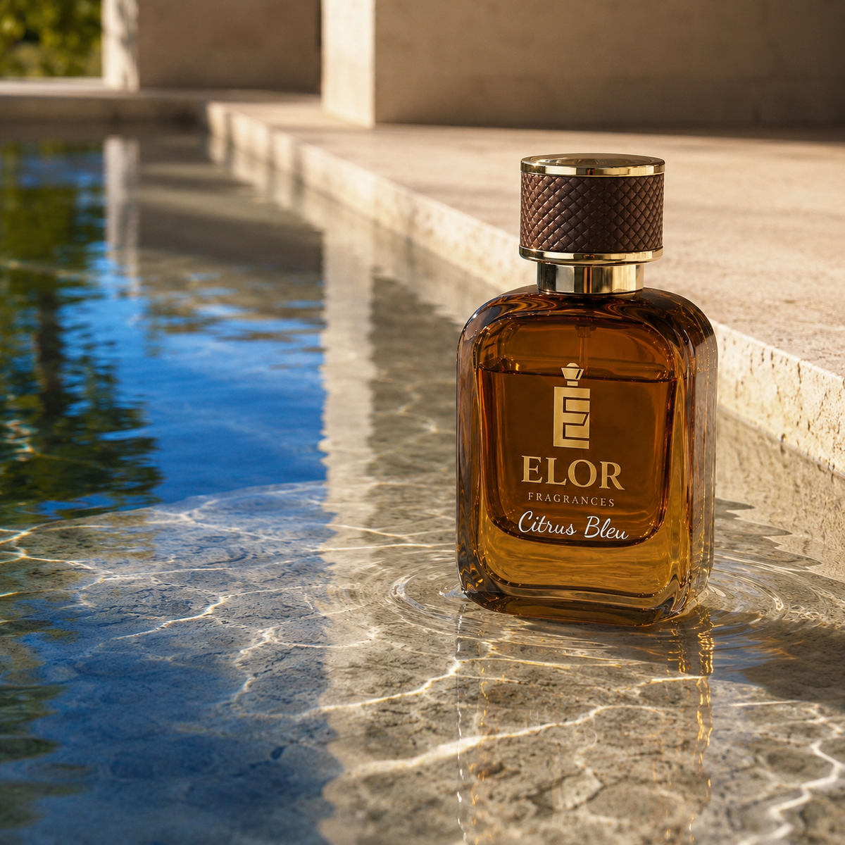 Citrus Bleu - Eau de Parfum - Elor Fragrances - Canada - Inspired by "Dolce & Gabbana Light Blue"